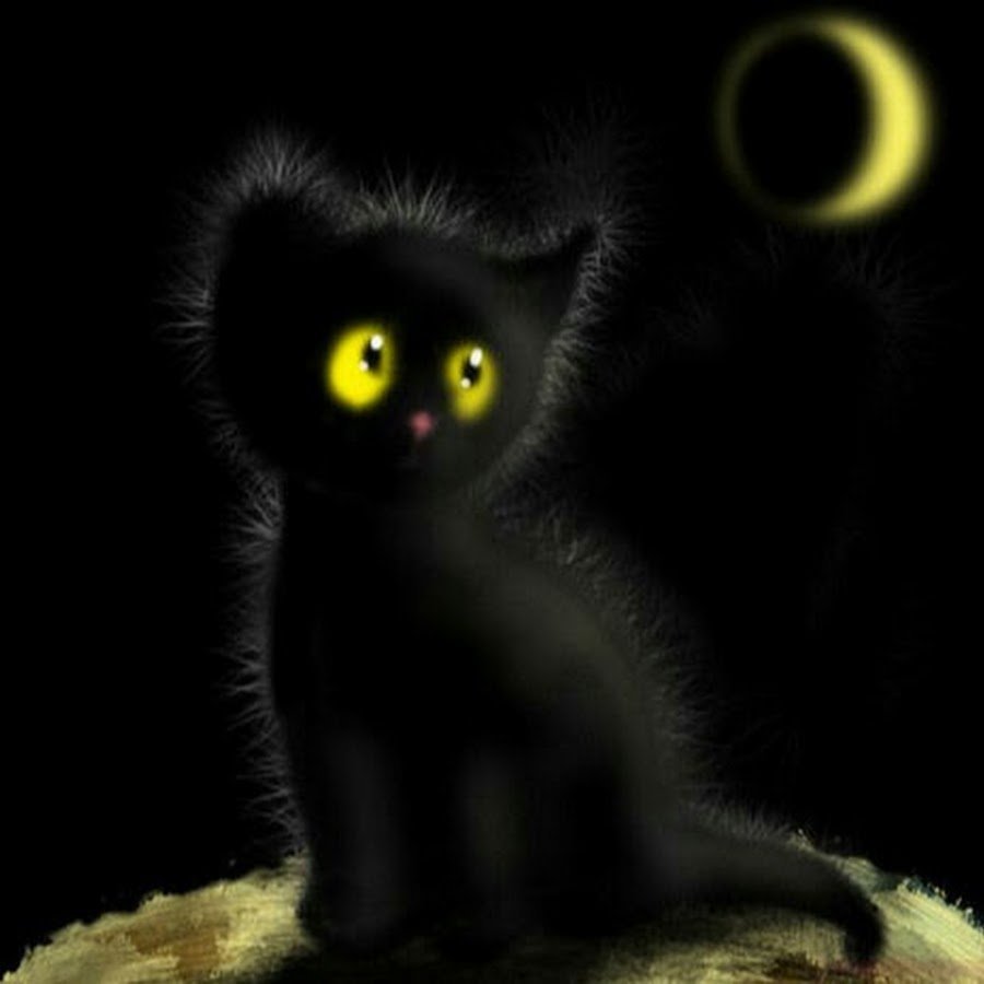 Доброй ночи черная кошка