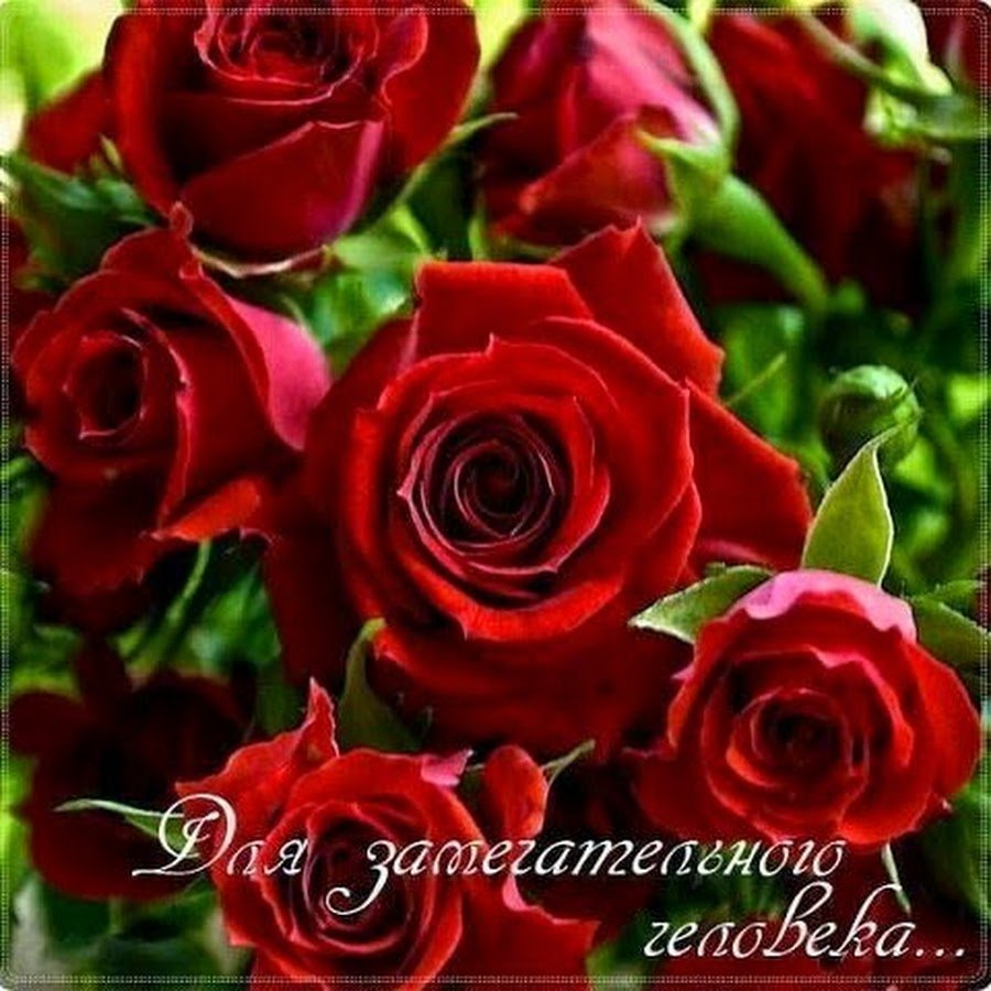 Котята с комплиментами