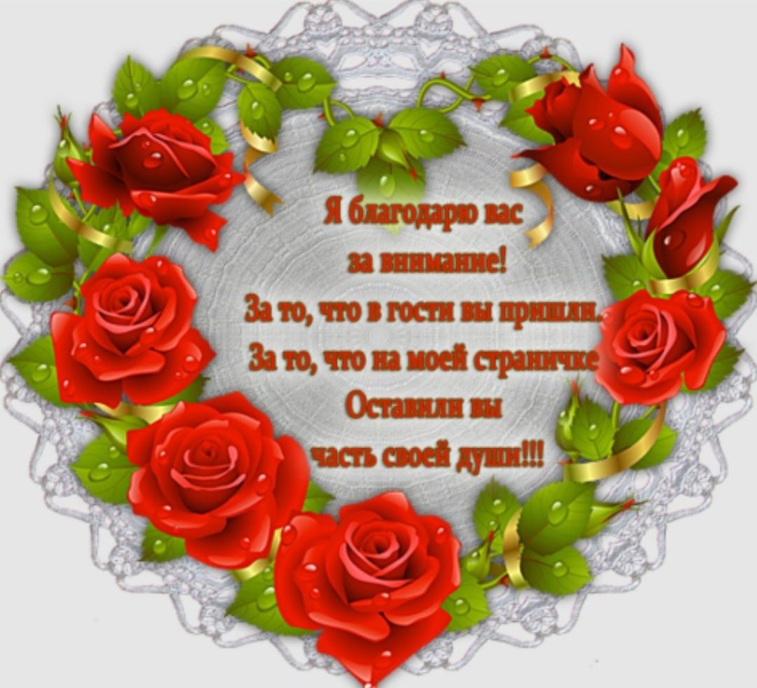 Нежный бутон розы