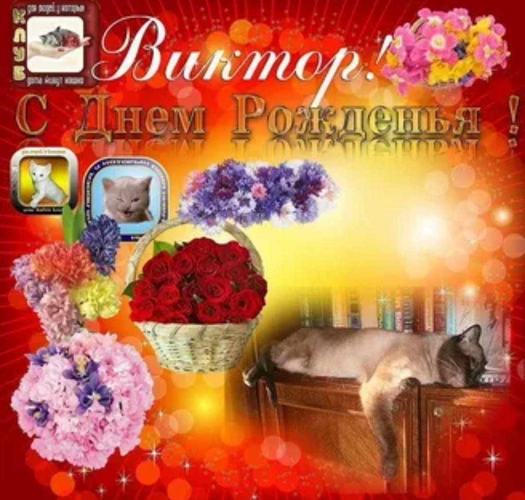 Необычные поздравления с днем рождения