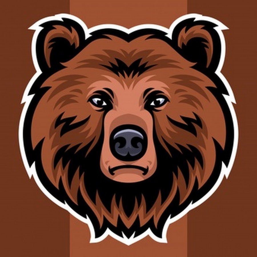 Медведь спорт