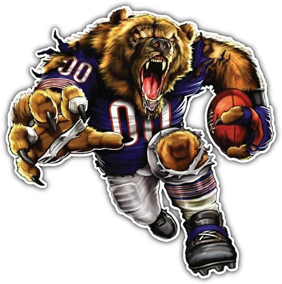 Клуб единоборств медведь