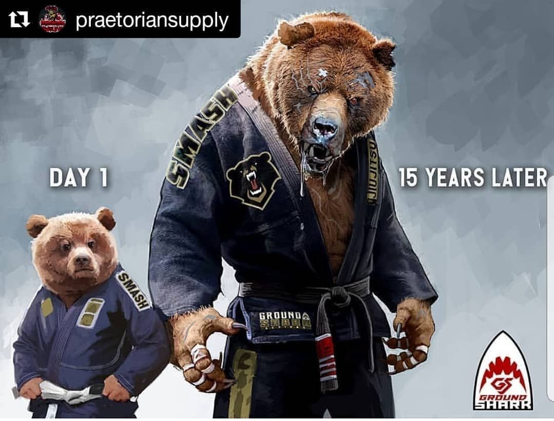 Медведь регби