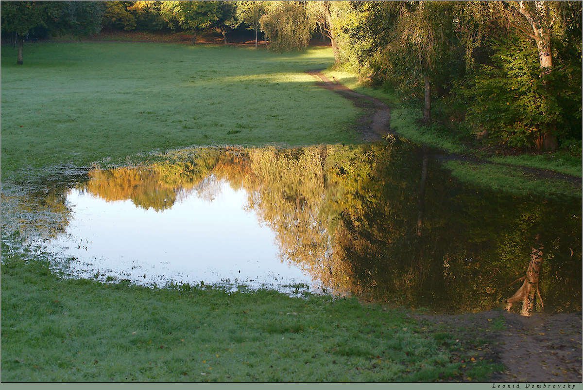 Красивая лужа