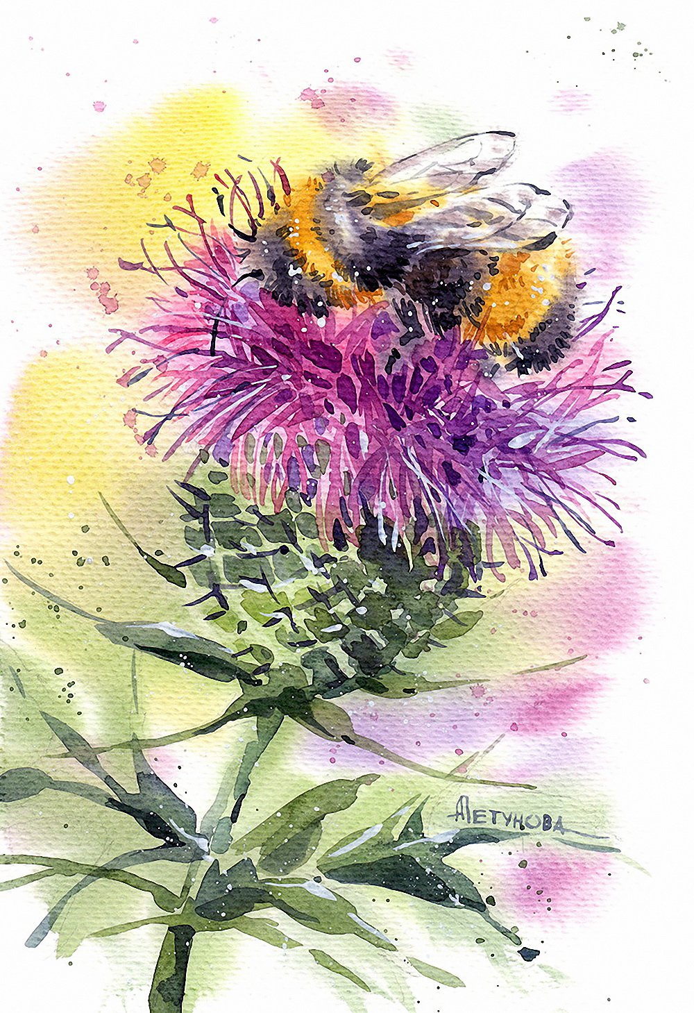 Чертополох Крымский