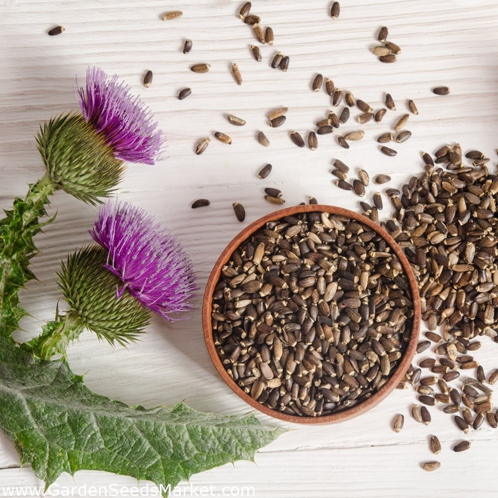 Анна Петунова акварели