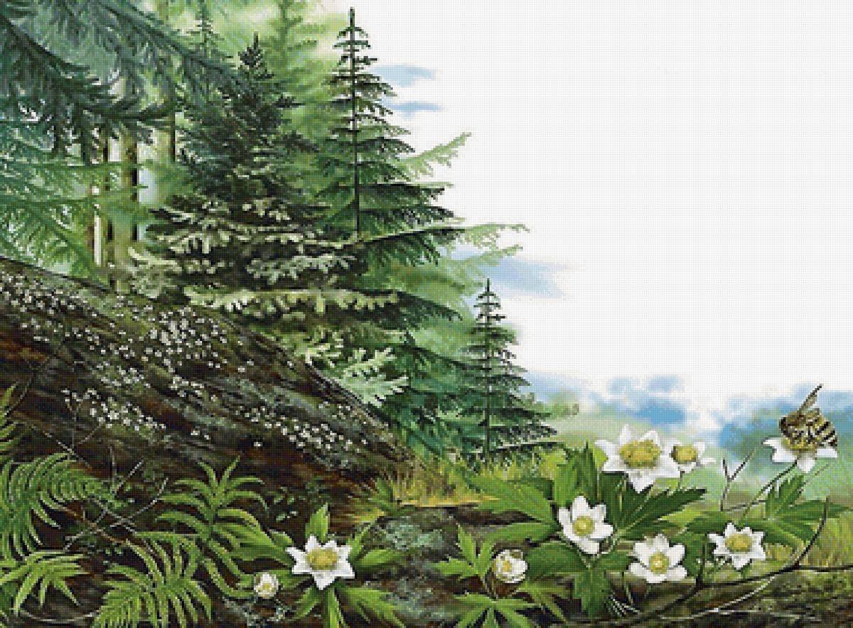 Картины Елены Доведовой