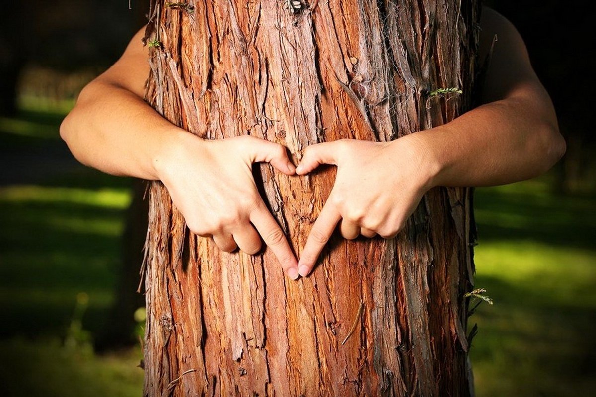 Человек обнимает дерево