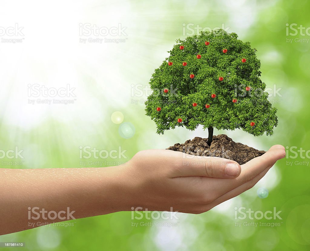 Социальная реклама