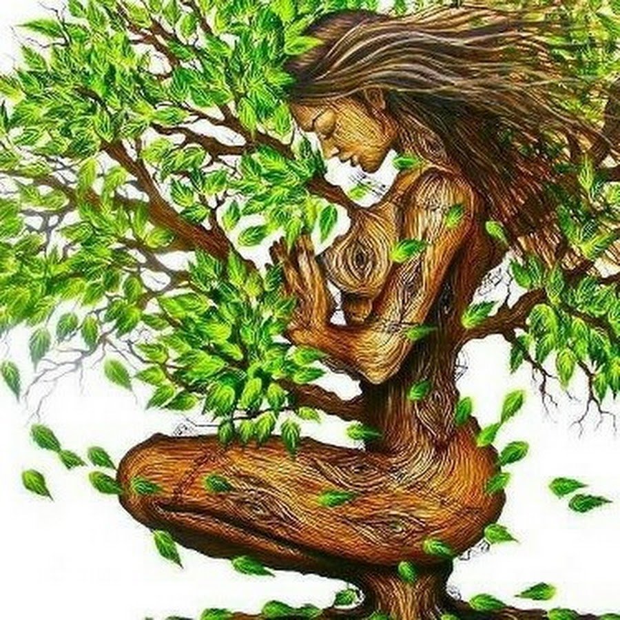 Гармония природы