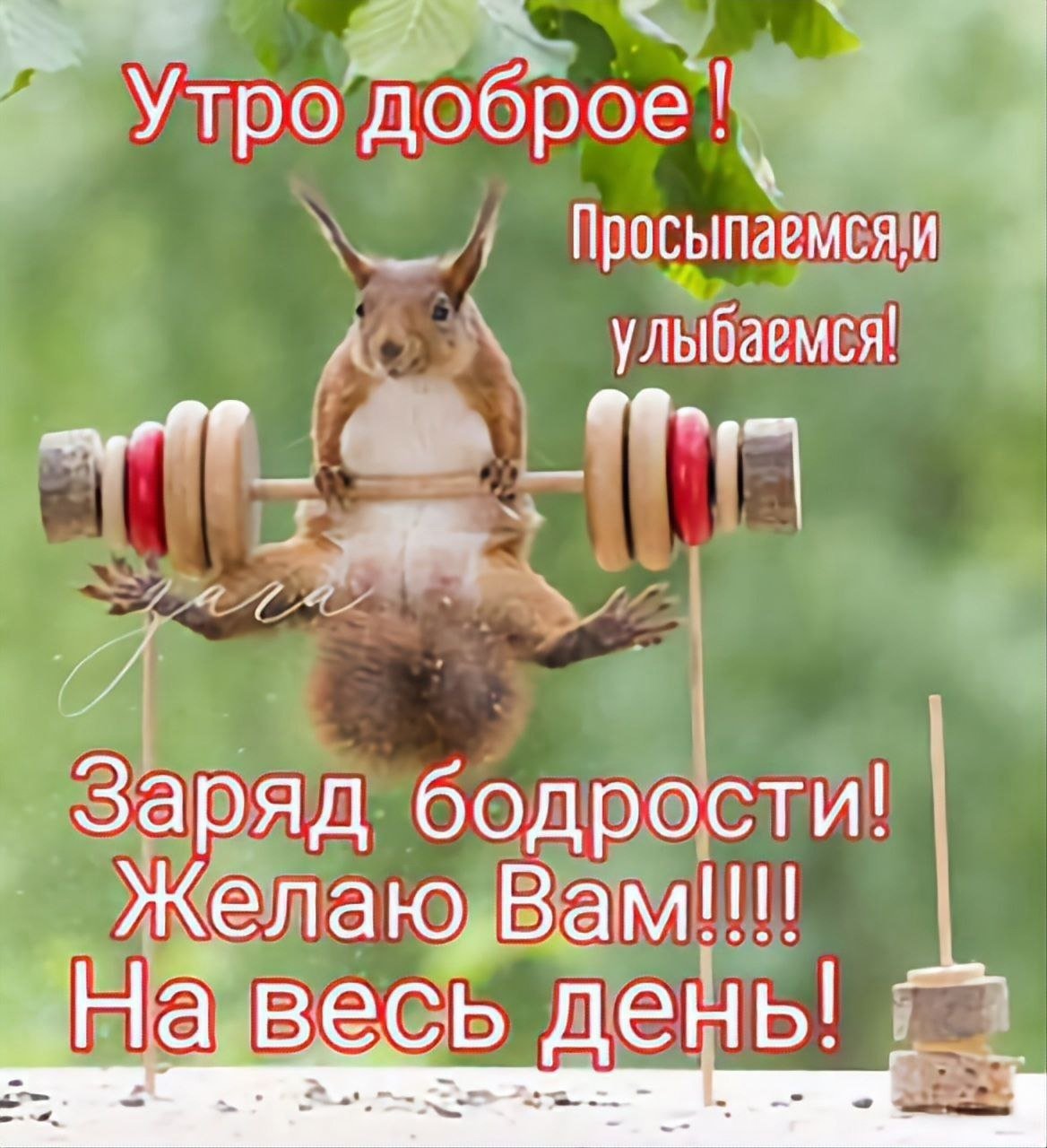 Позитивчик для хорошего настроения