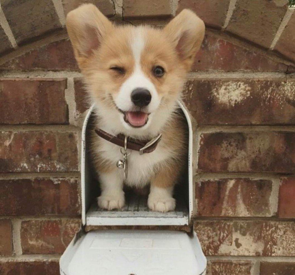 Кофе это жизнь