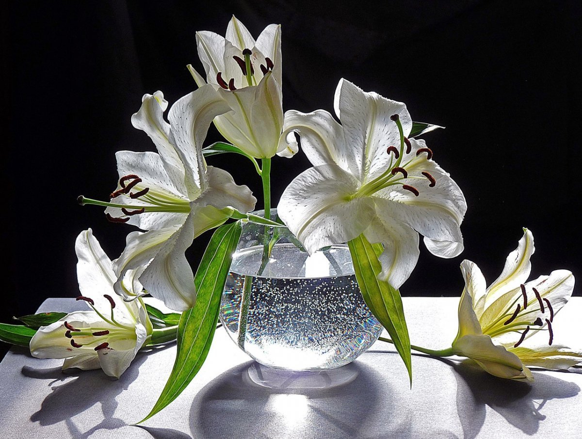 Goldhand букет лилий hcm009