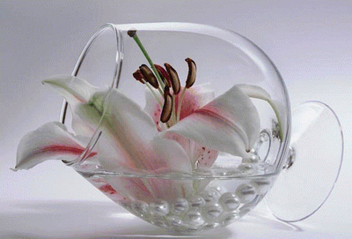 Лилия в стакане