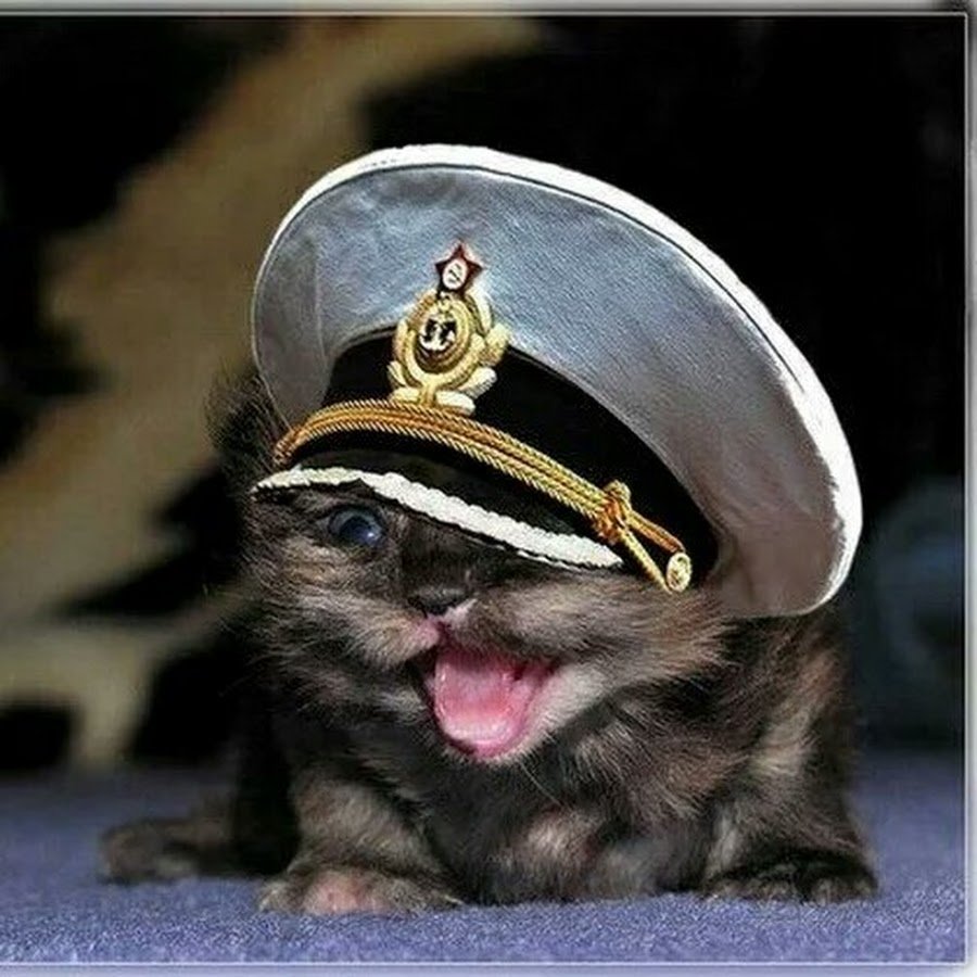 Валя карнавал обработки