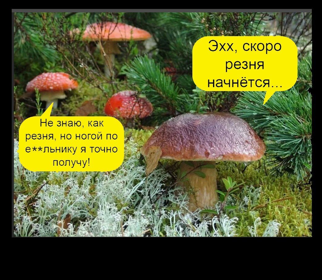 Картинки приколы с надпися