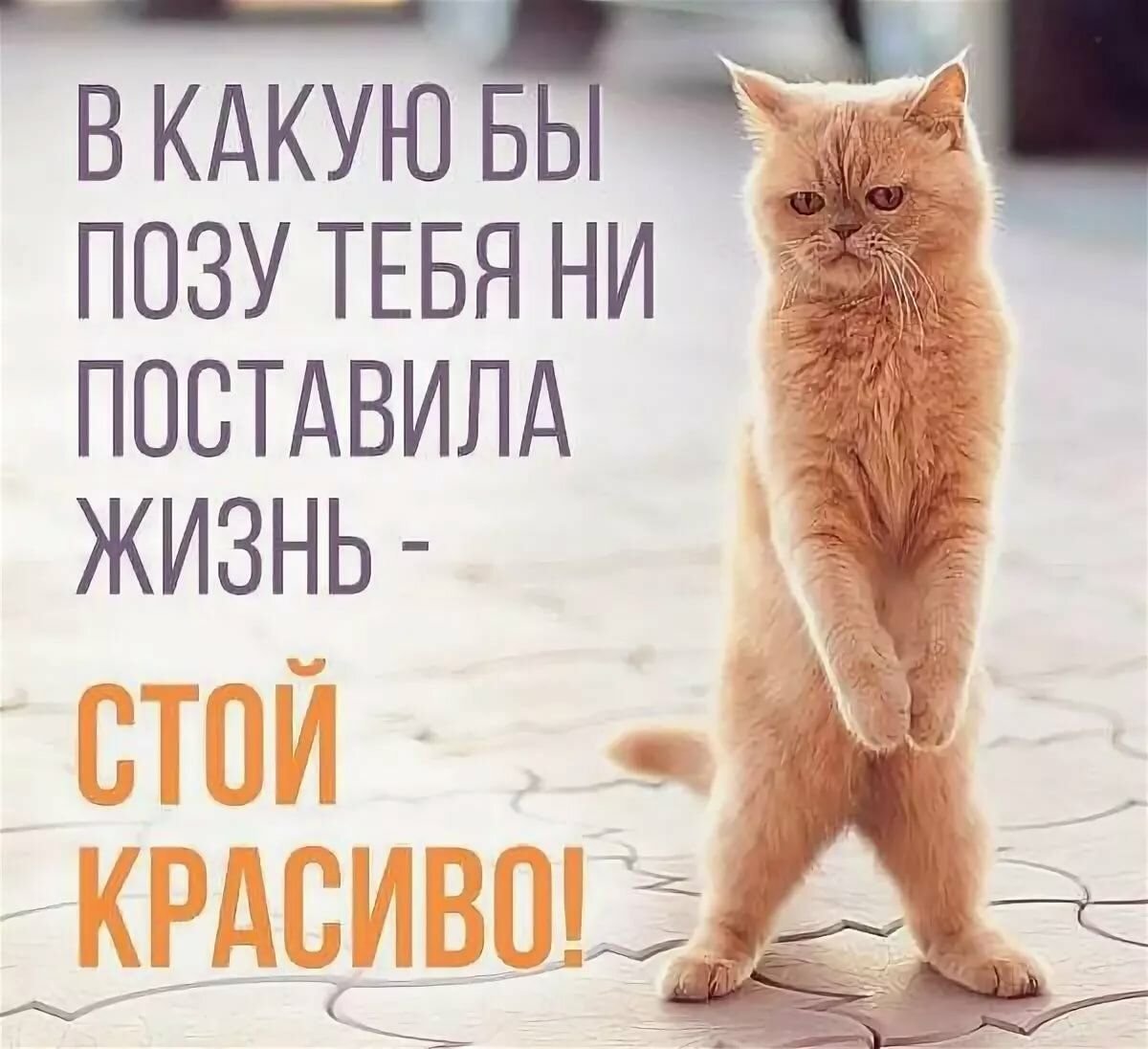 Весёлые надписи для поднятия настроения