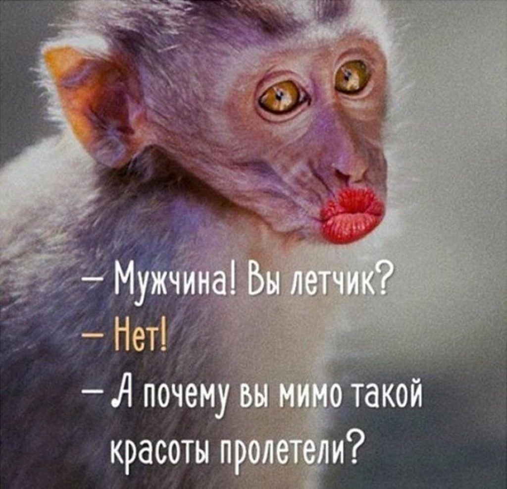 Анекдоты про красоту