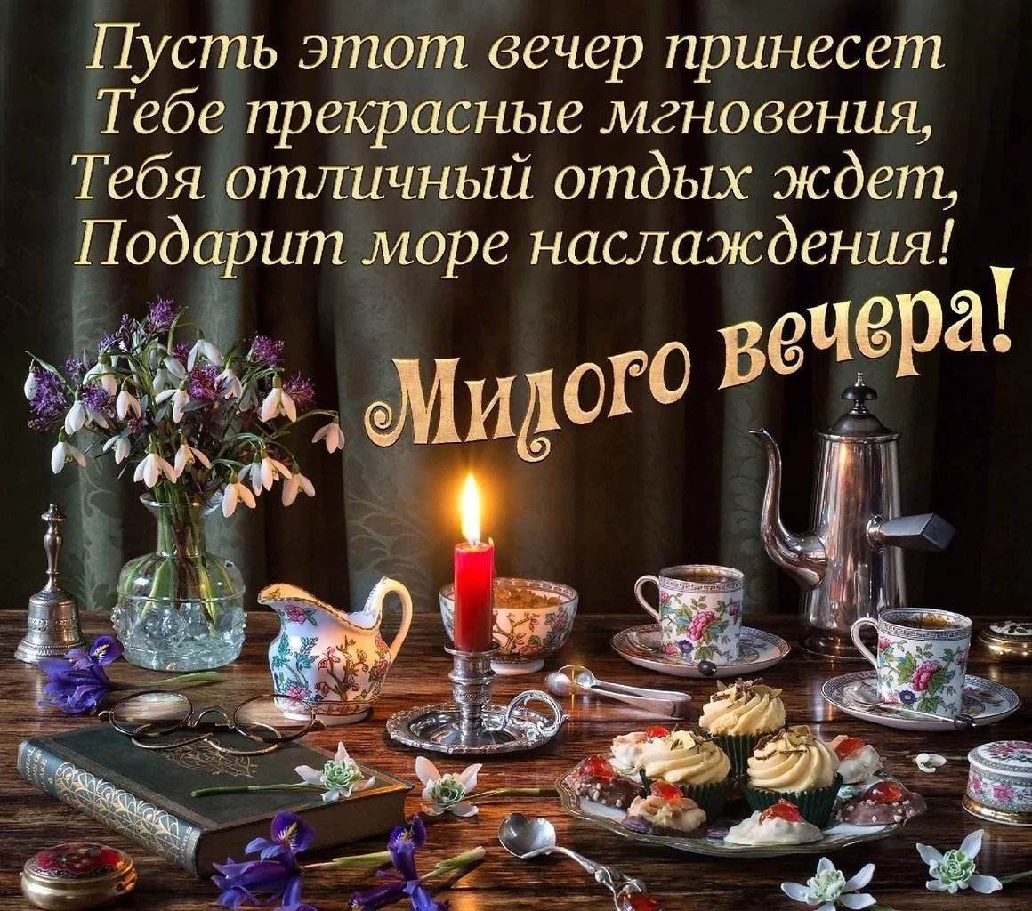 Доброй ночи с животными прикольные