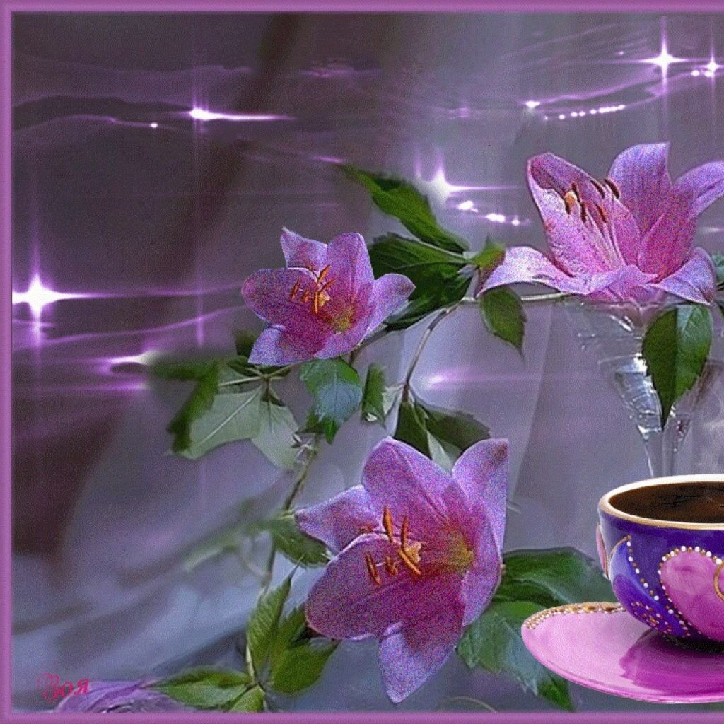 Прекрасного утра