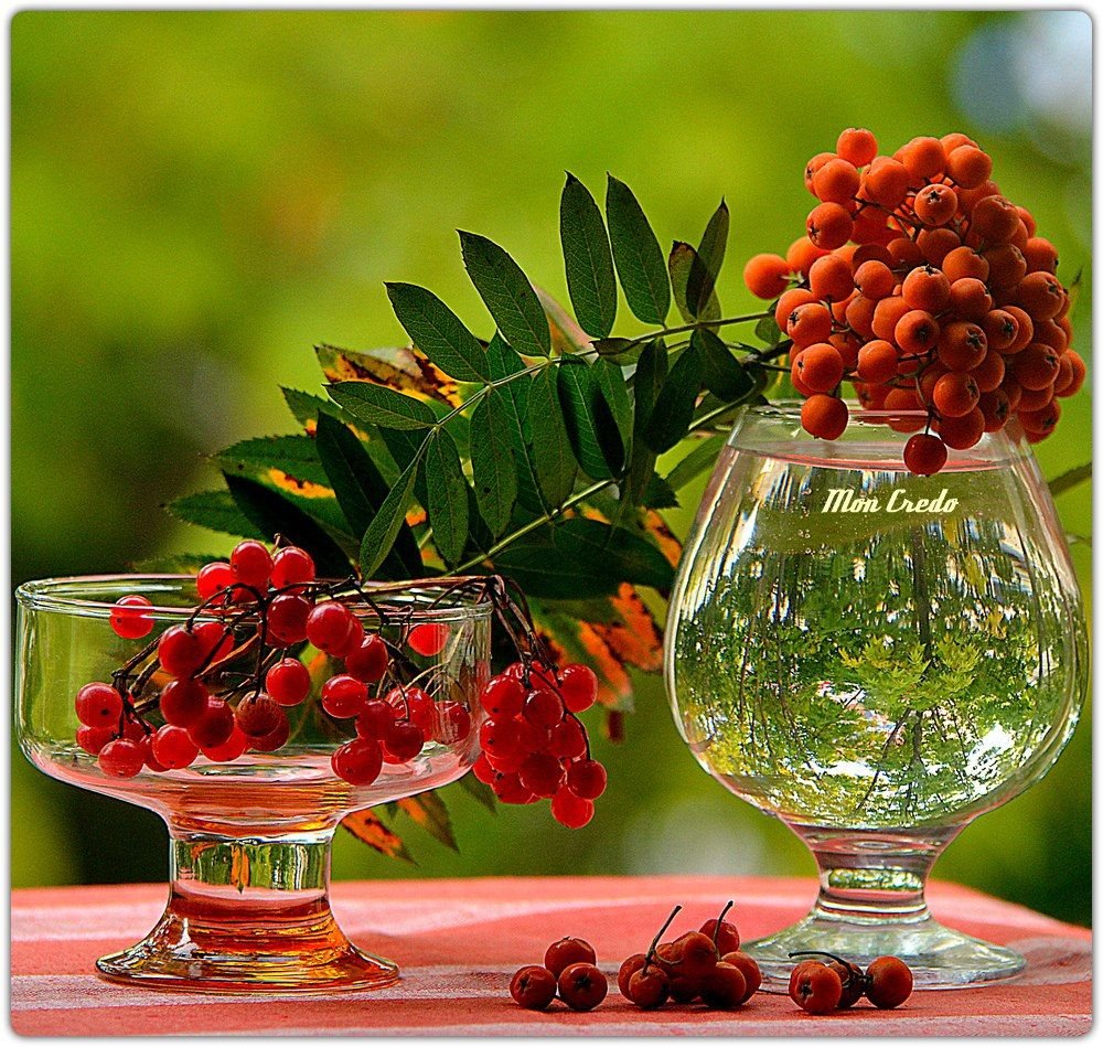 Чудесного летнего дня