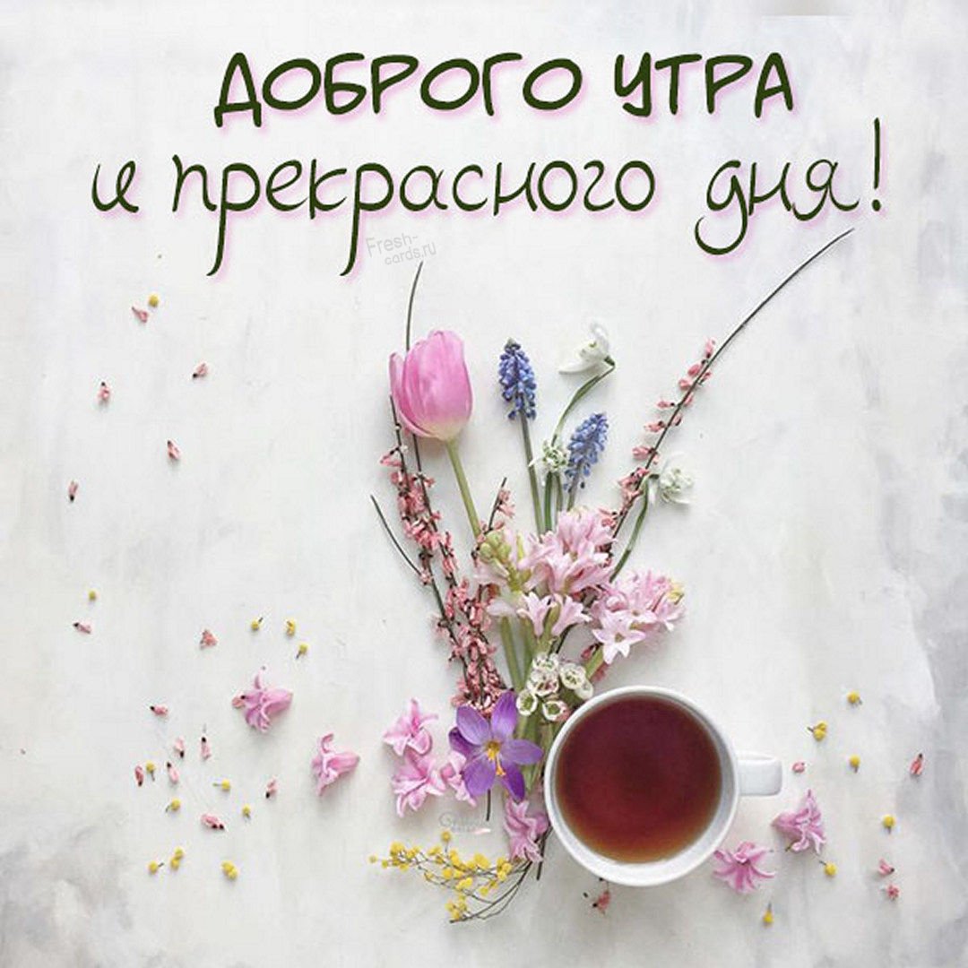 Доброе прекрасное утро гиф