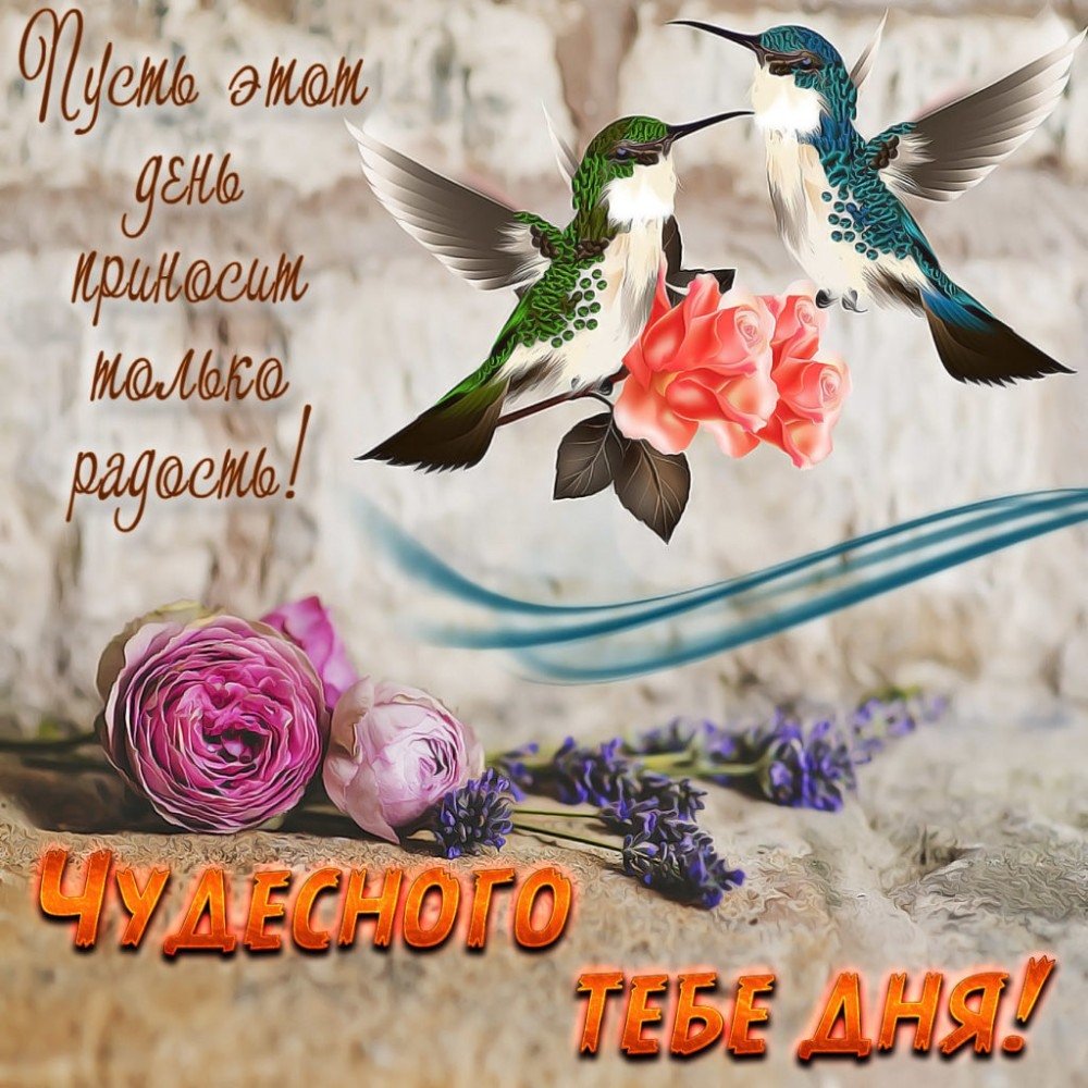 Душевные пожелания