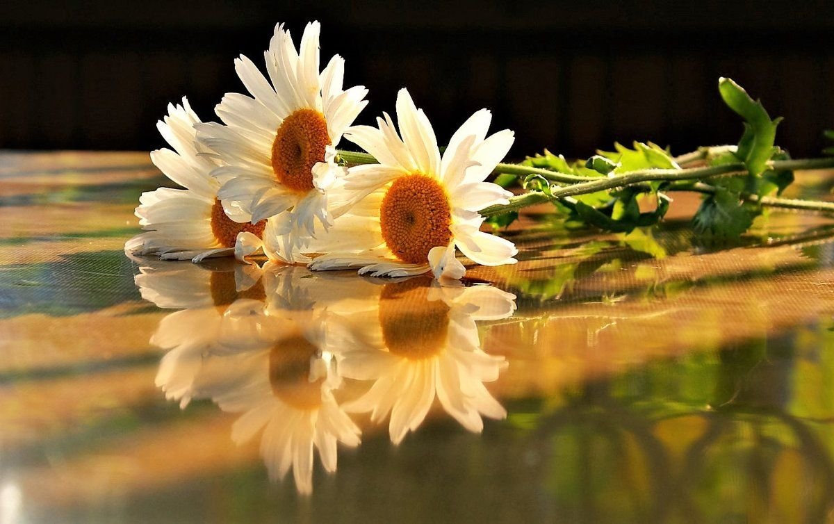 Душевного тепла и настроения