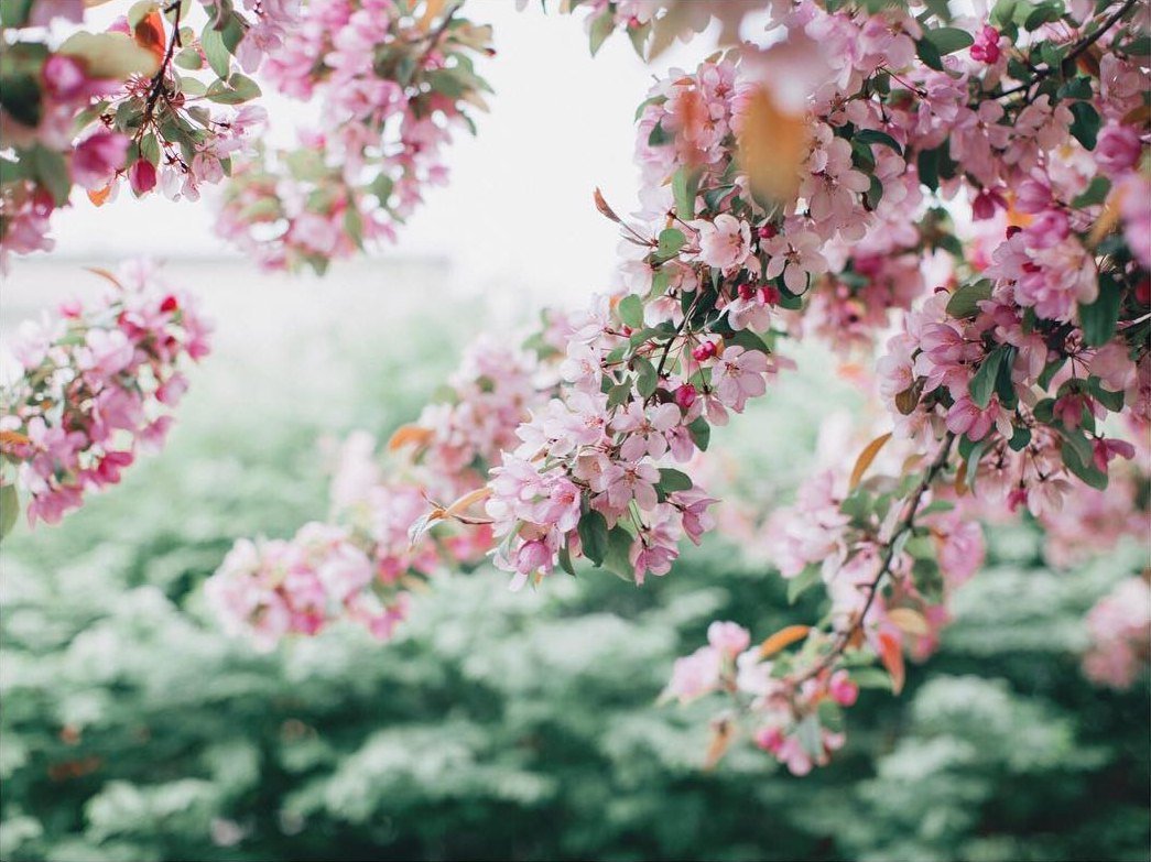 Приложите к душе весну