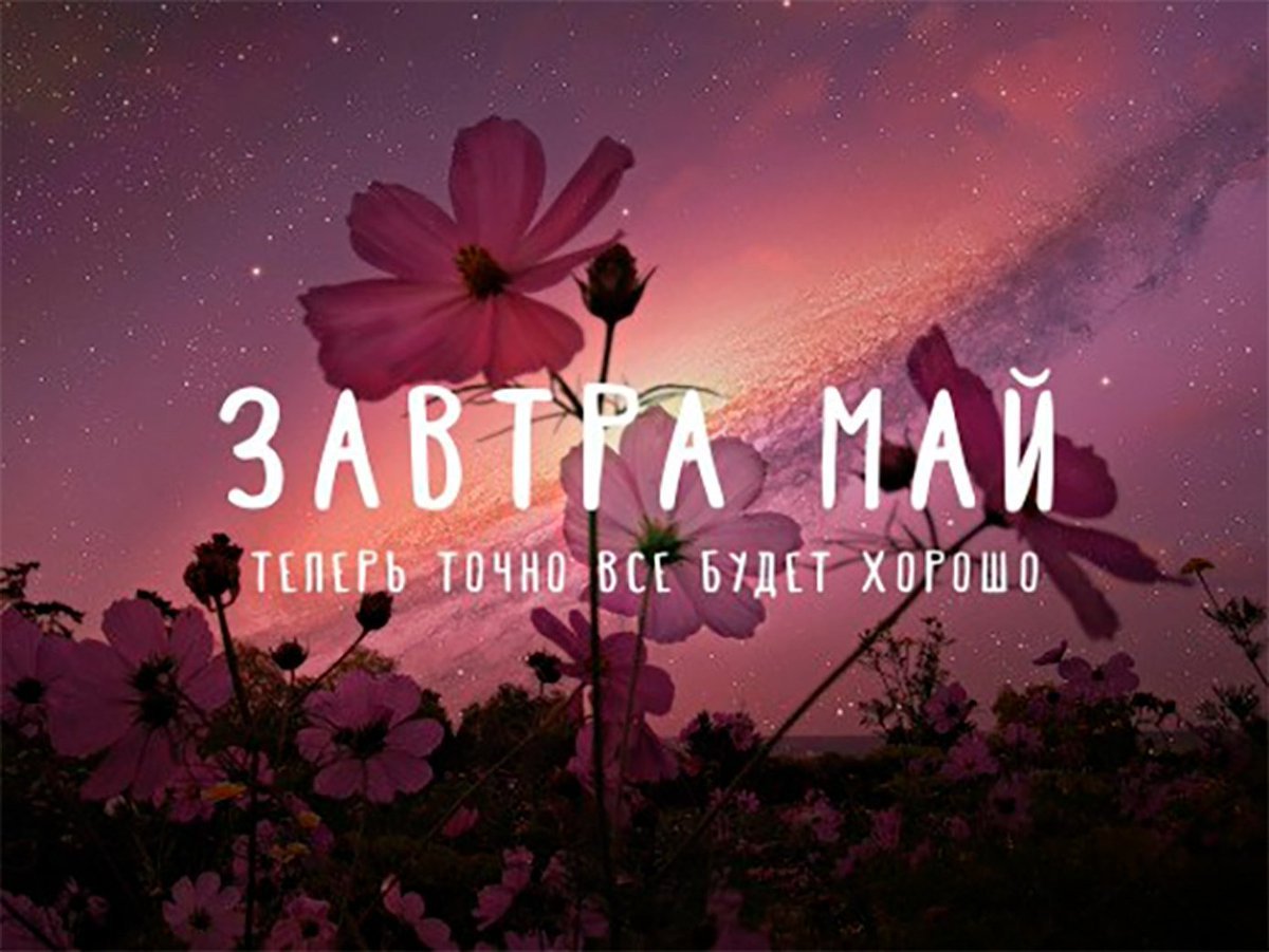 Завтра май картинки
