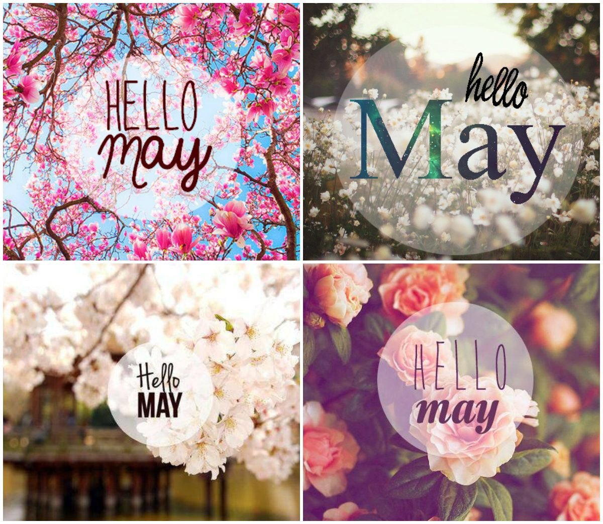 Hello May надпись