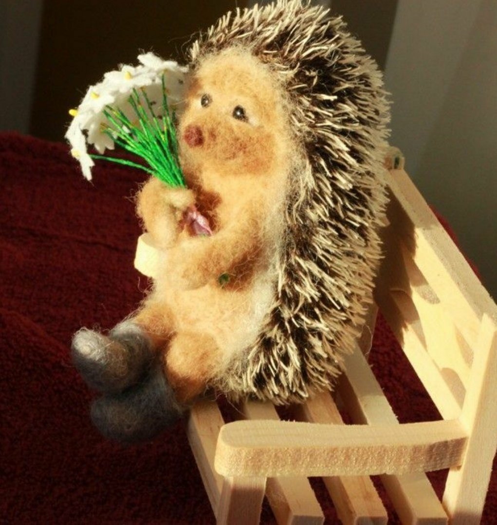 Доброго дня с Ёжиком