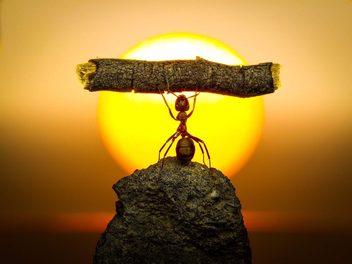 Правила трех н нет ничего невозможного