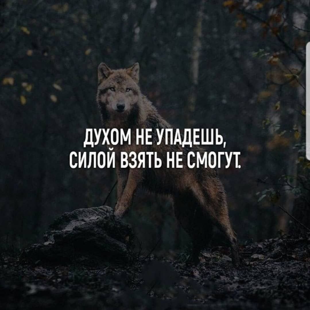 Главное не падать духом