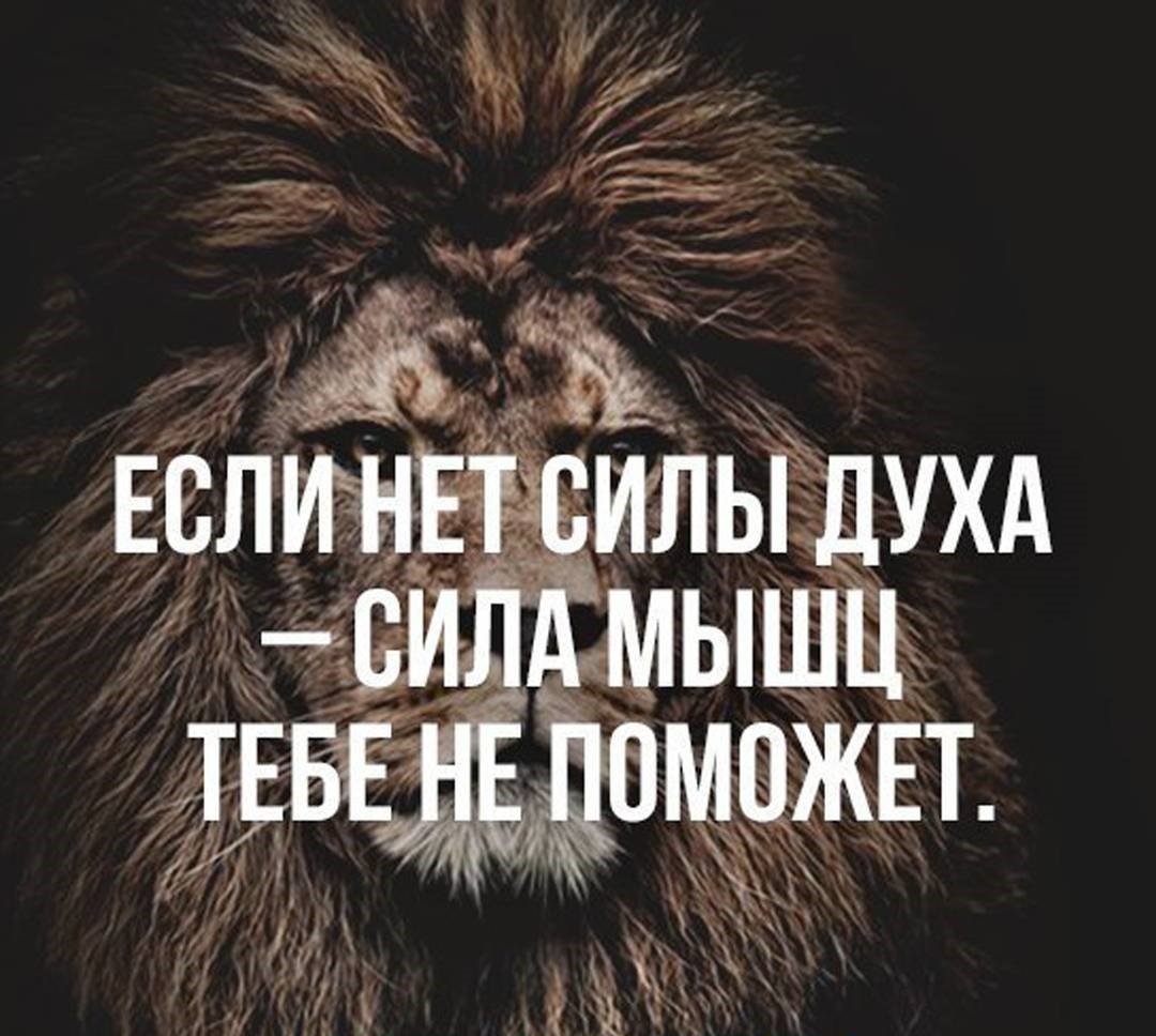 Высказывания о силе духа