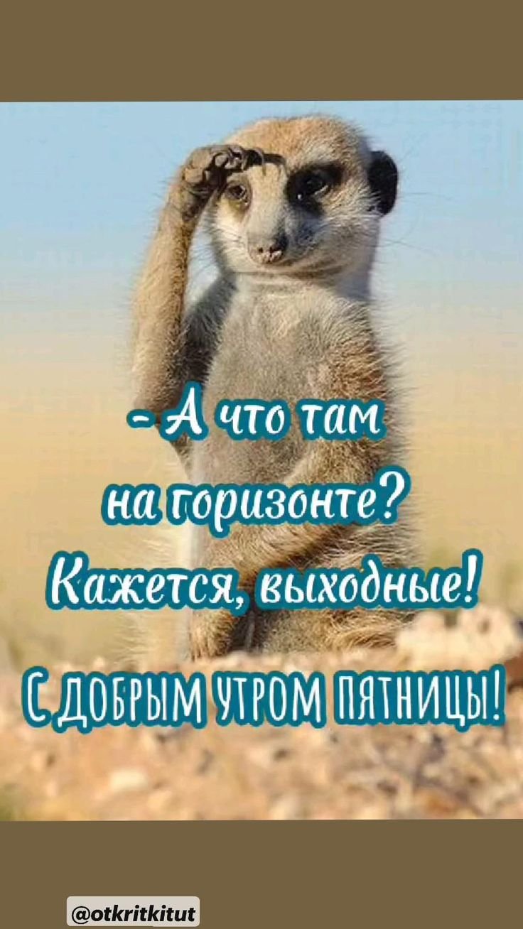 Открытки с добрым утром прикольные