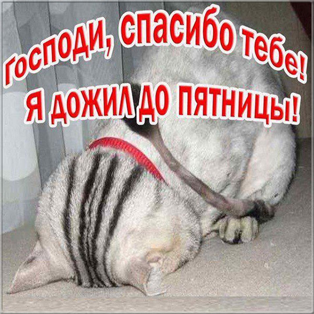 Доброе утро пятницы