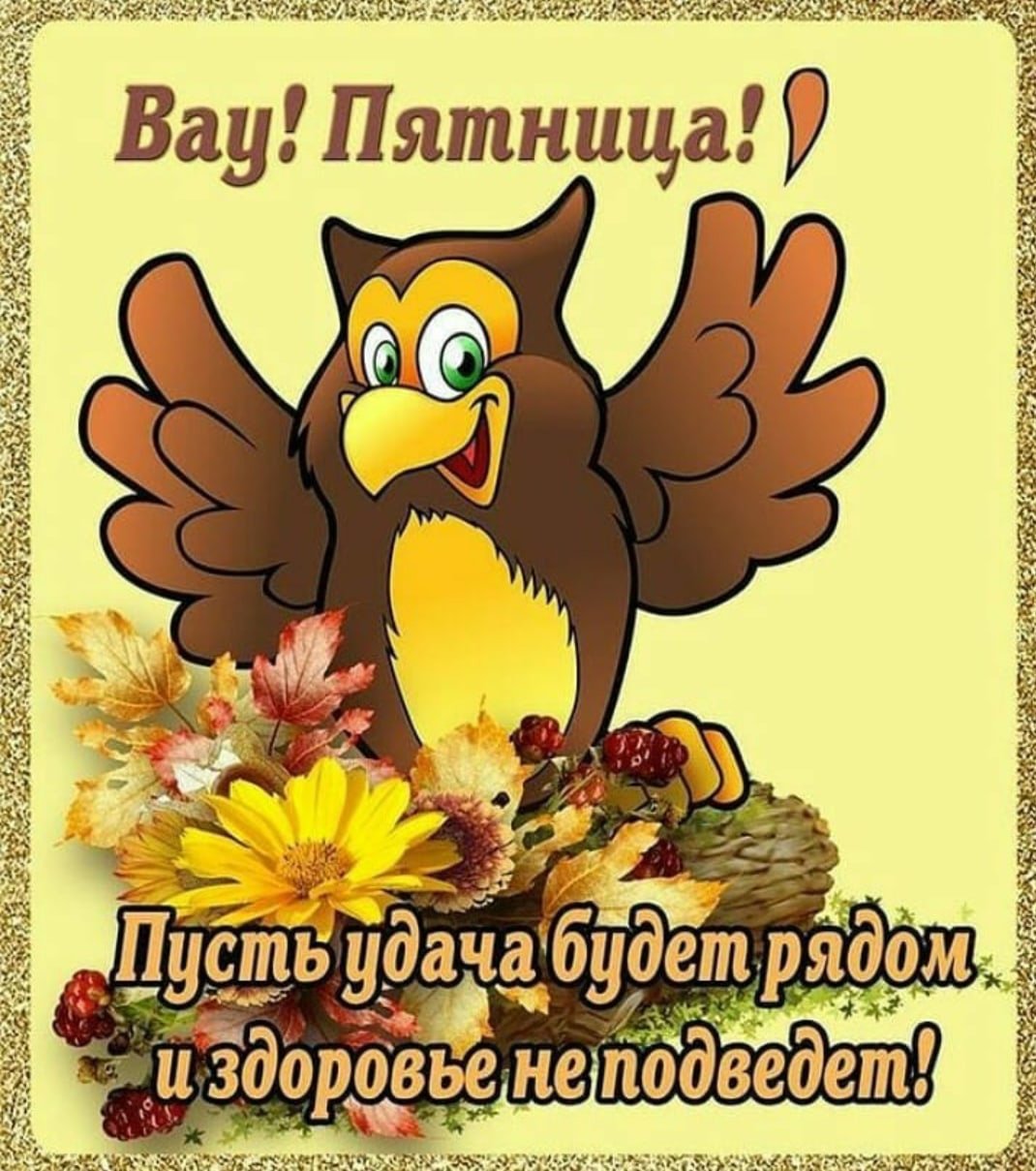 Ржачные картинки с добрым утром