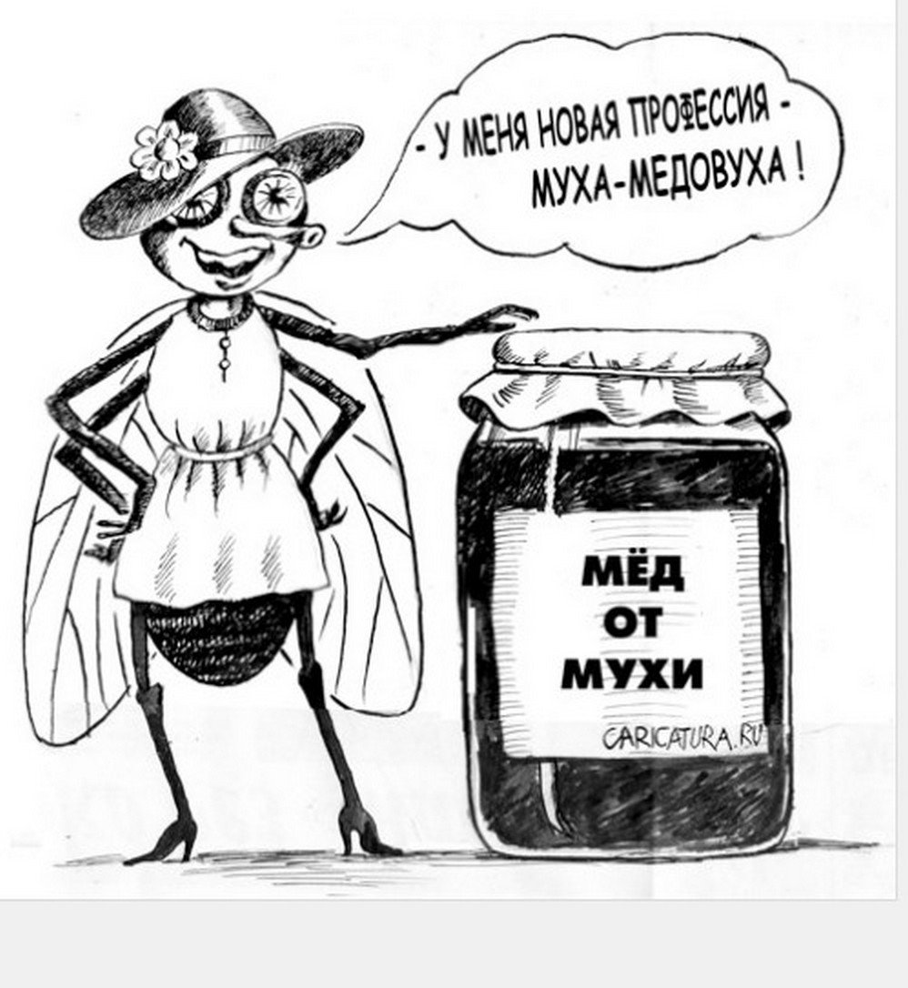 Анекдот про мед