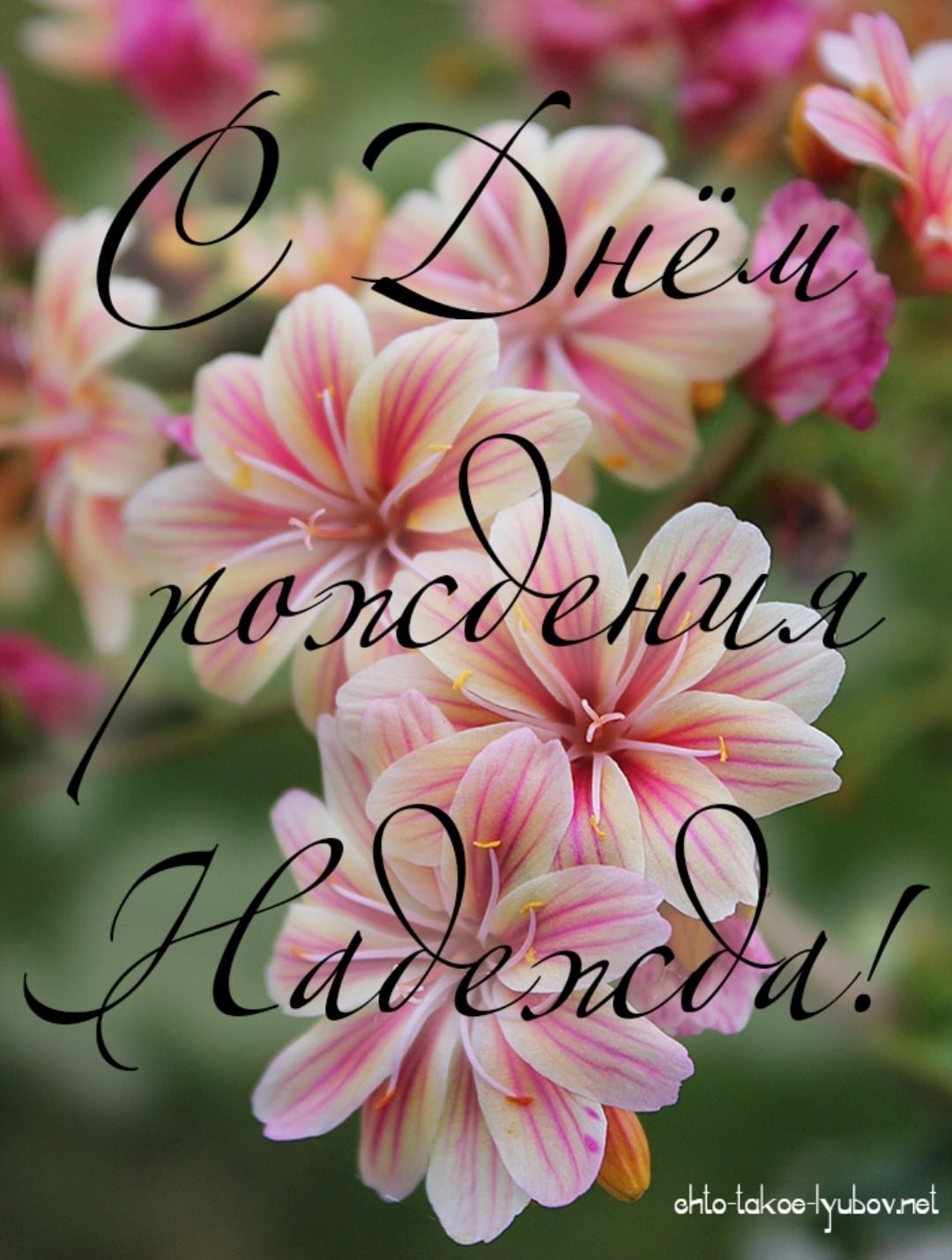 С днем рождения