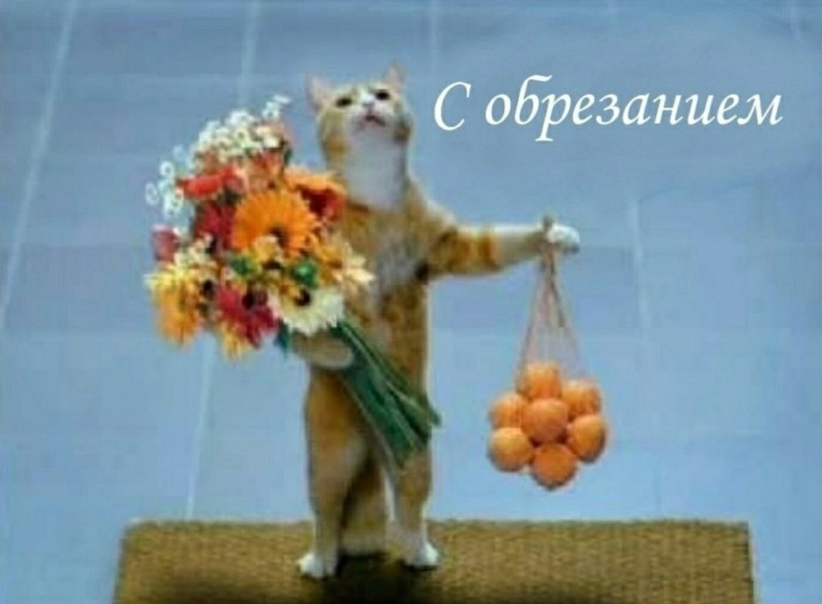 Поздравления с днём рождения Людмиле