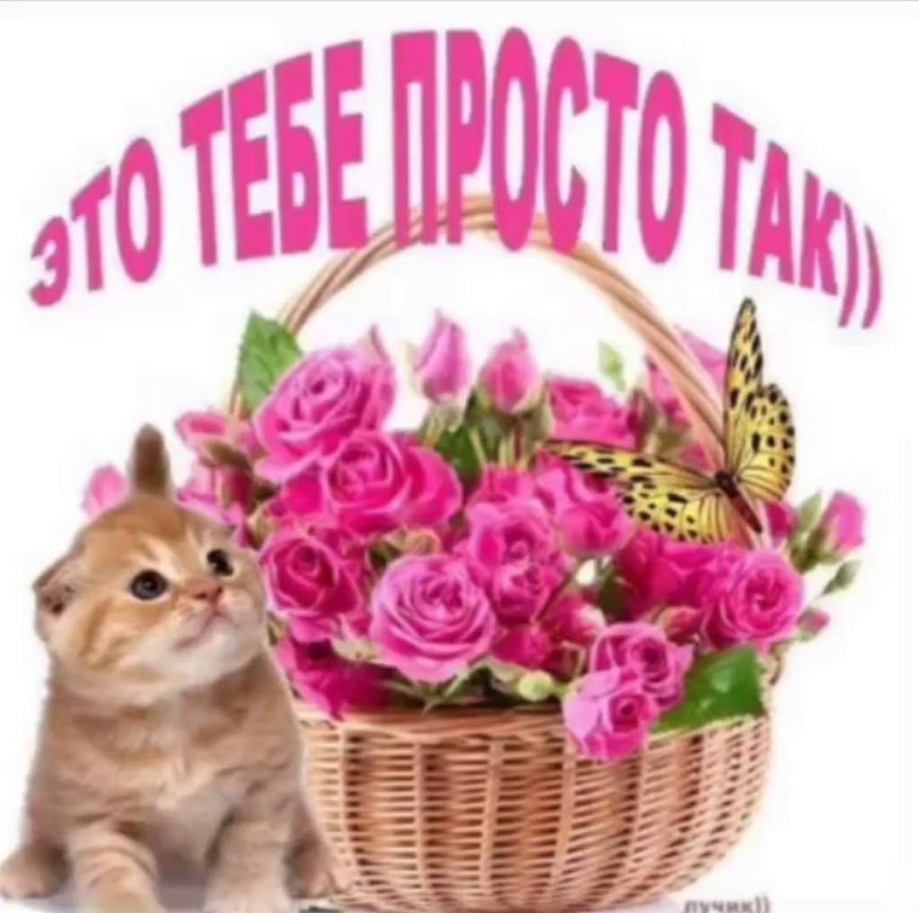 Поздравления с днём рождения надежде