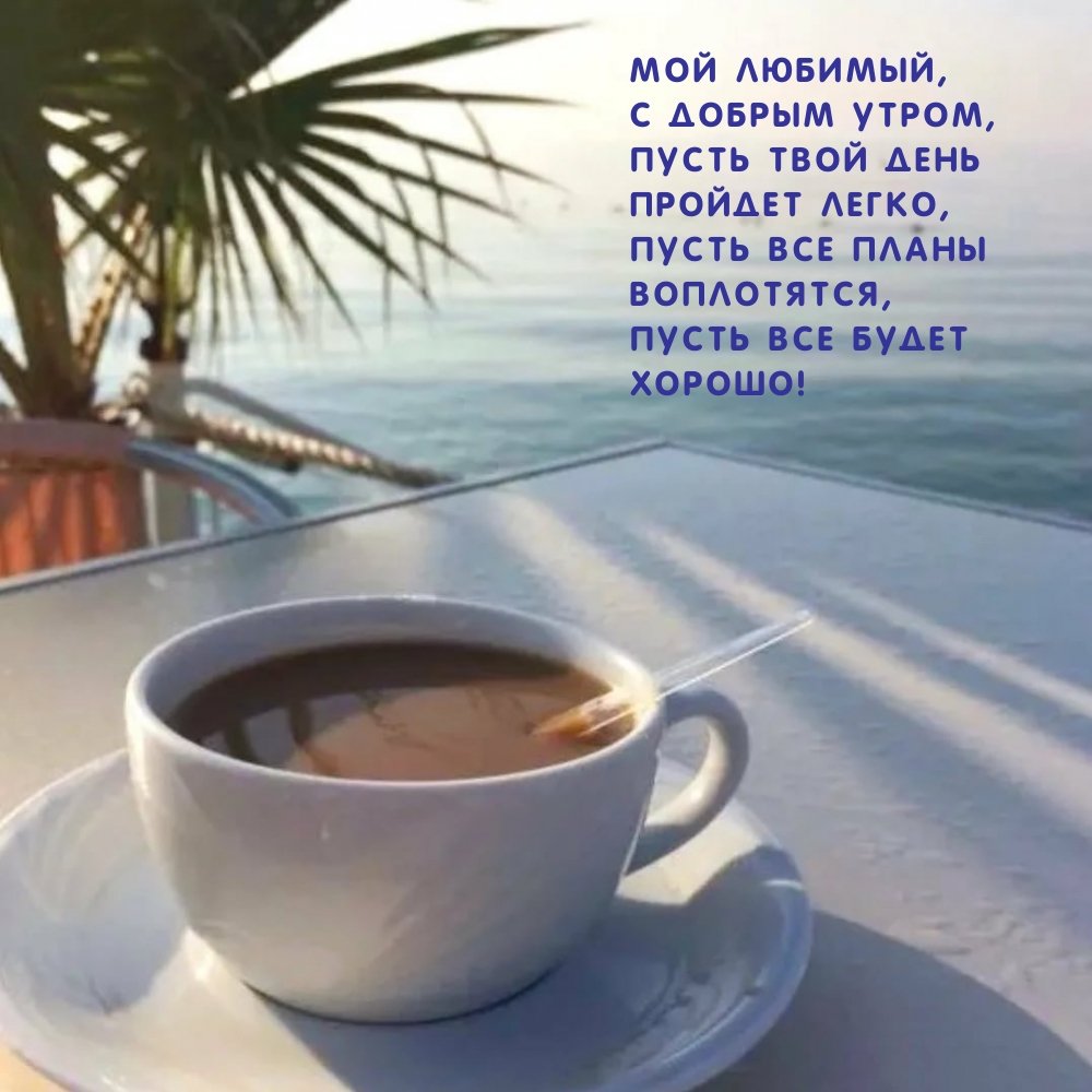 «Утром на побережье»1