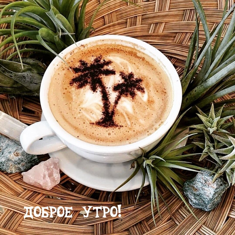 Кофе и пальмы