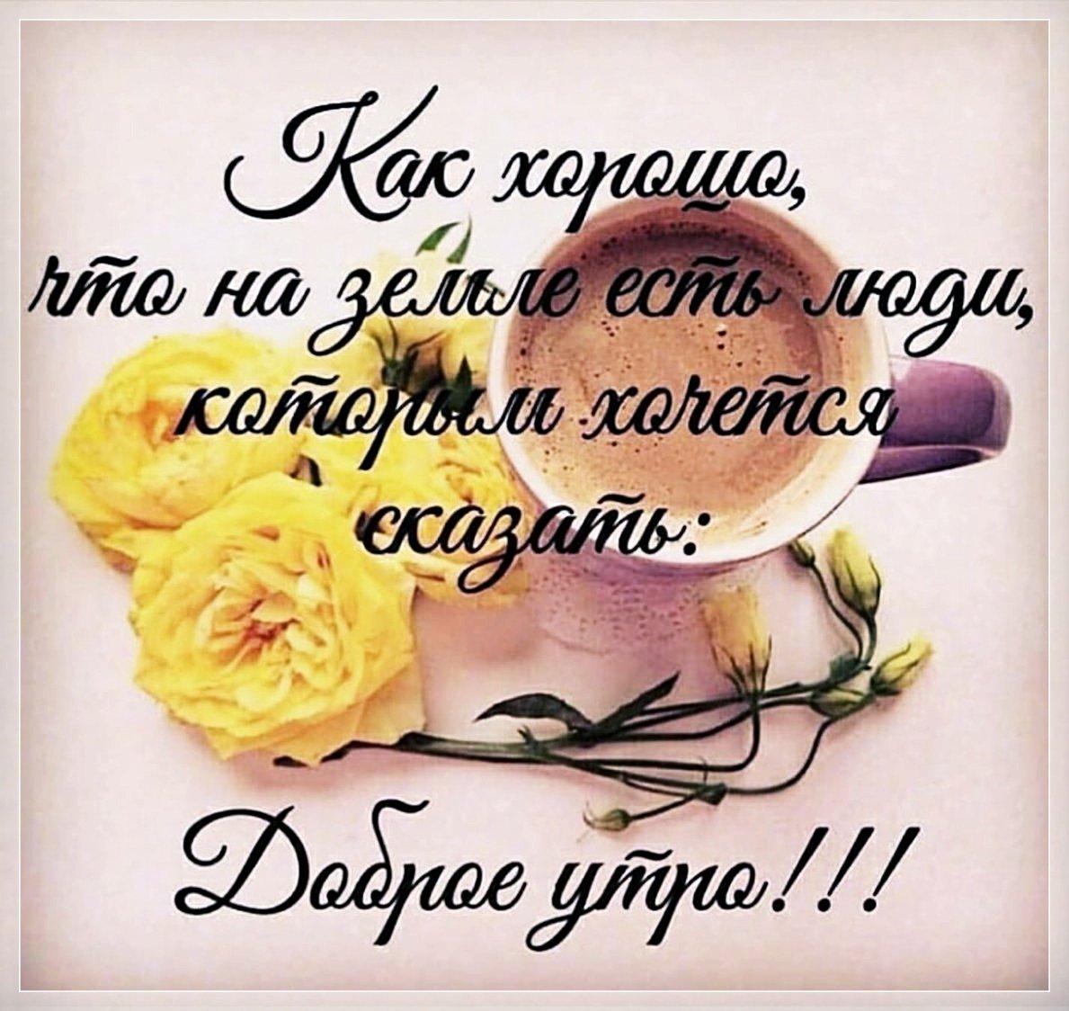 Доброе утро с пионамиами