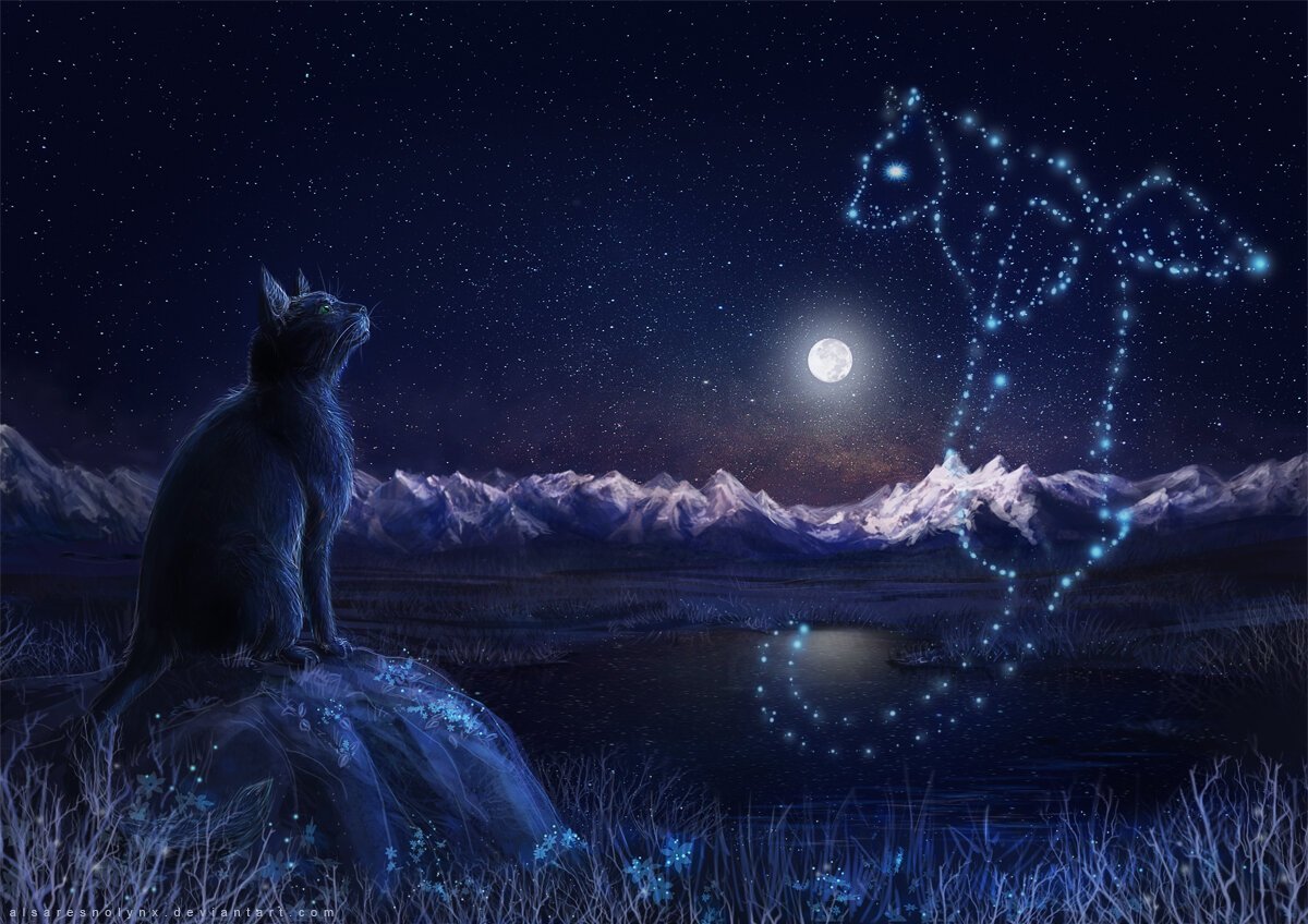 Сказочная ночь