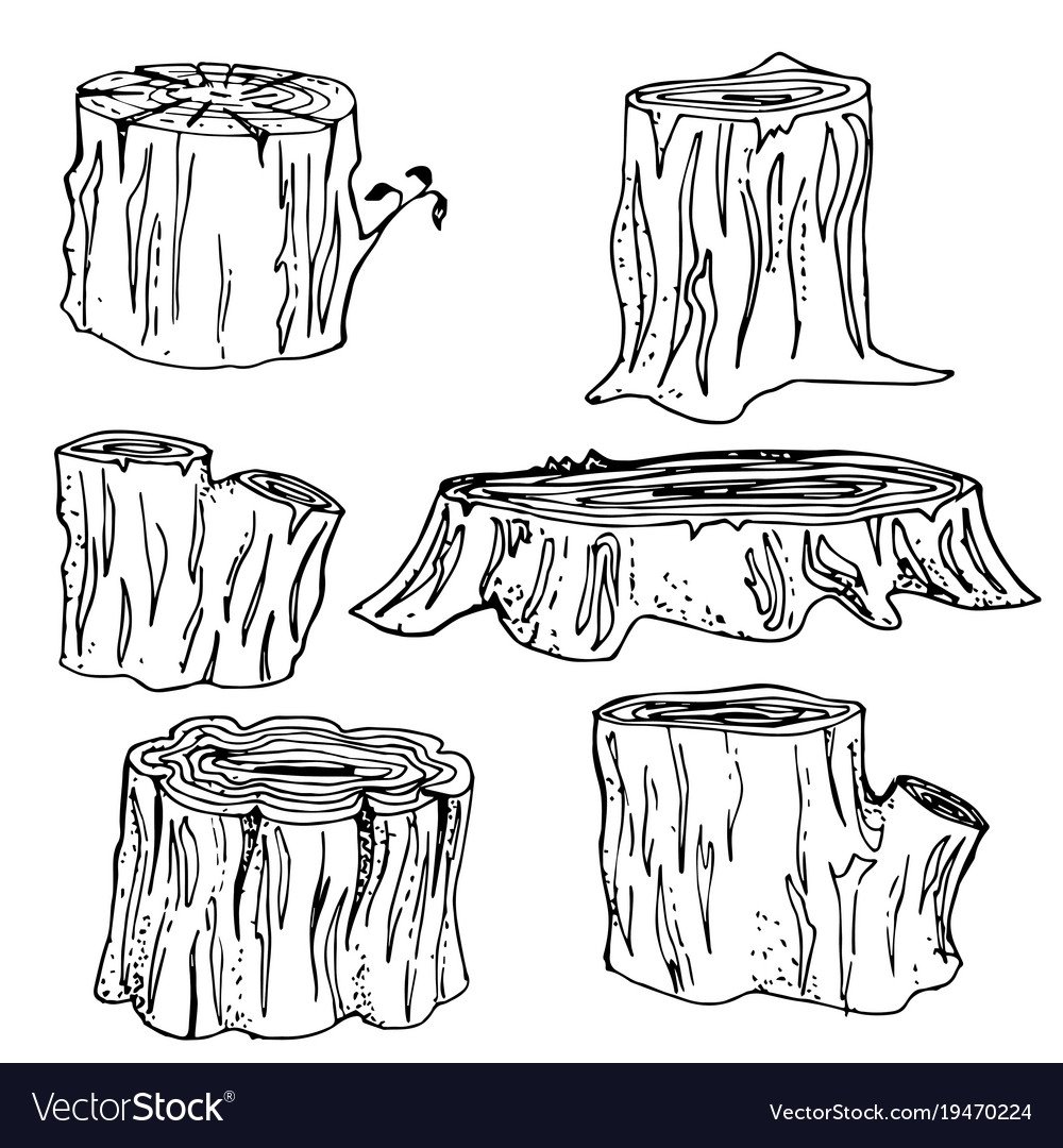 Пеньки для рисования