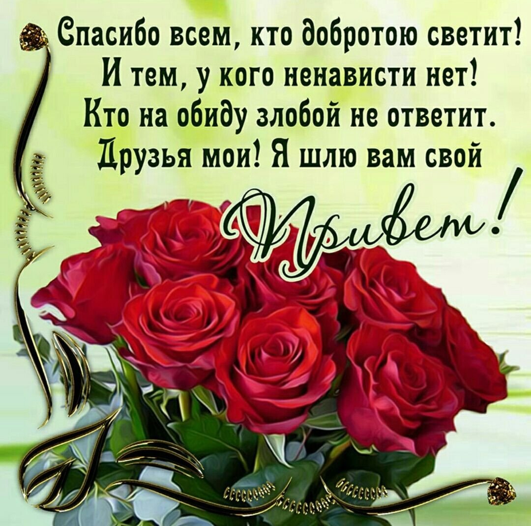 Афоризмы о радости жизни