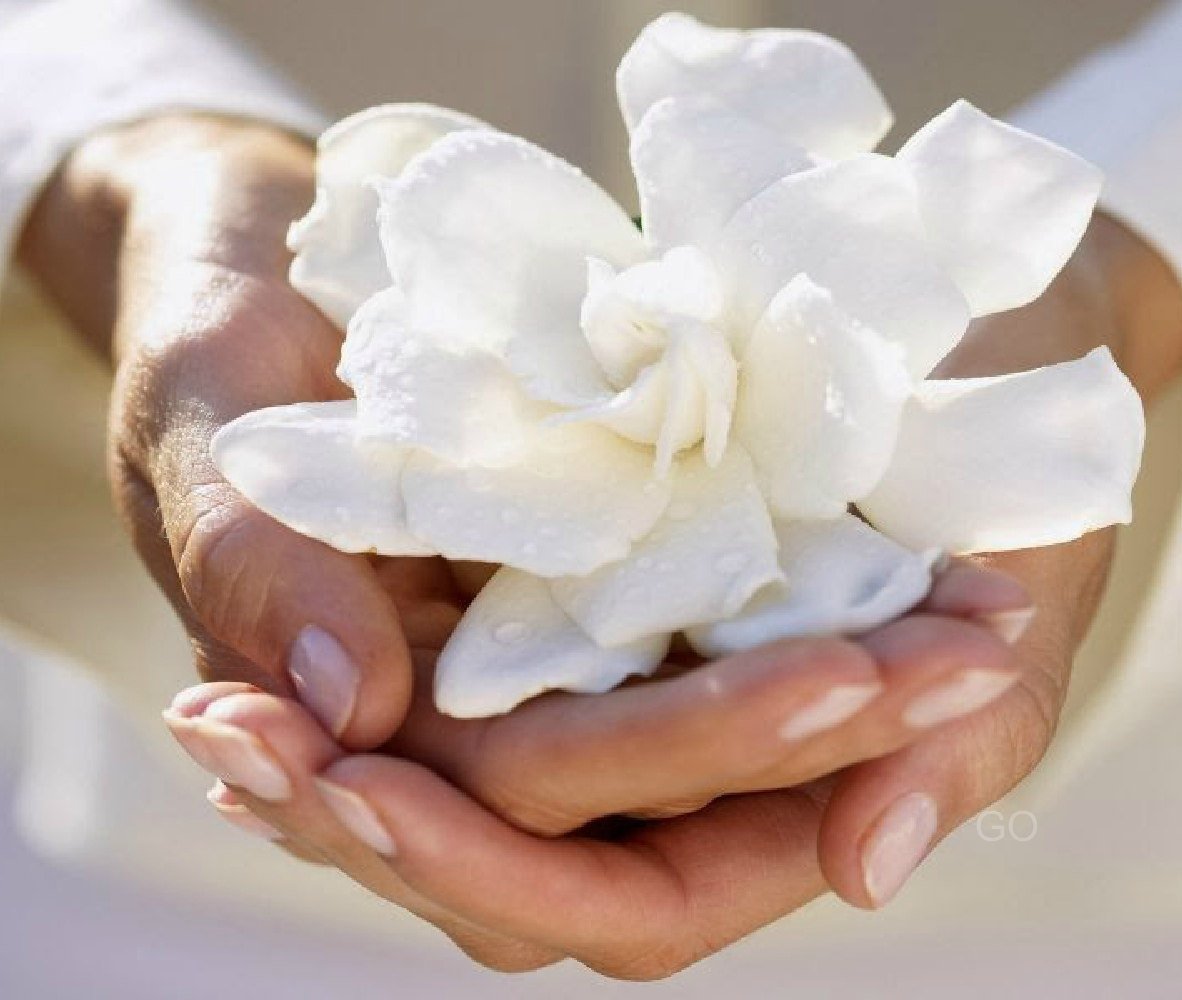 Я благодарна каждому человеку