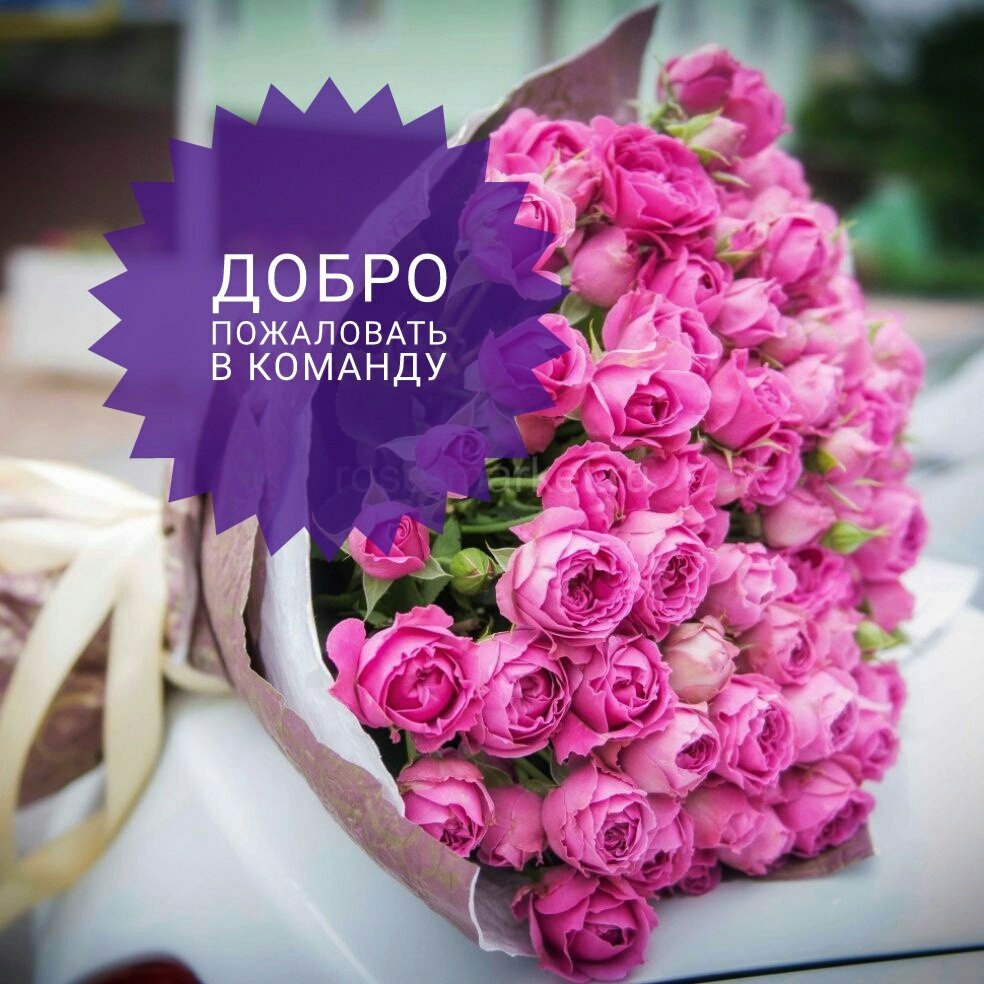 Розы с пожеланиями